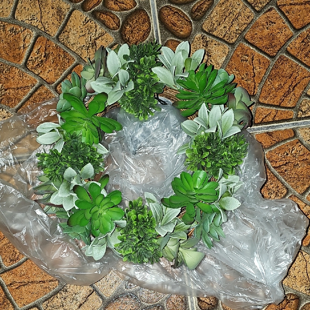 Green and White Succulent Wreath